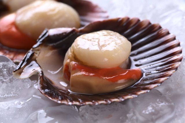Capesanta (Pecten jacobaeus)