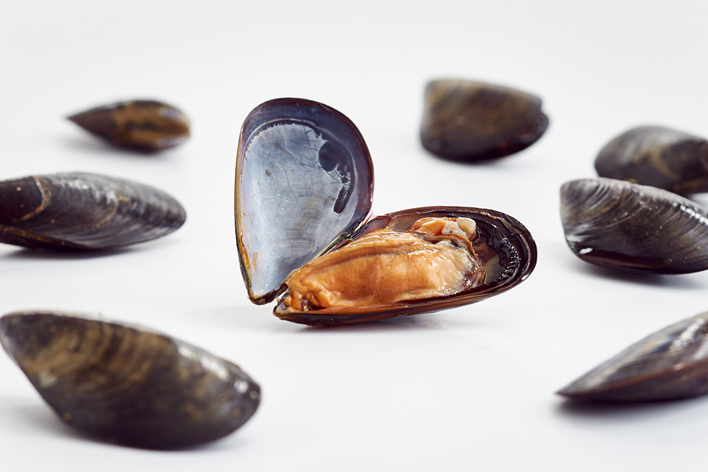 Cozze (Mytilus galloprovincialis)